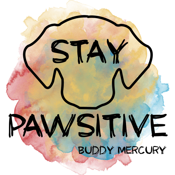 STAY PAWSITIVE CONTEST!