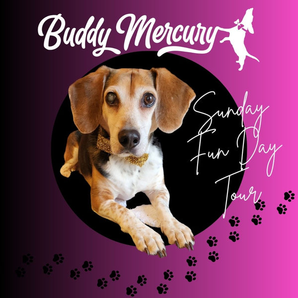 Buddy Mercury's Sunday Fun Day Tour!