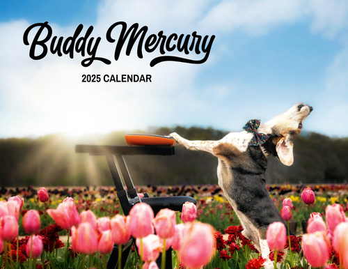 NEW Buddy Mercury 2025 Calendar