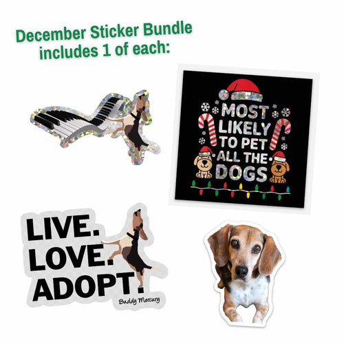 NEW Buddy Mercury December Sticker Bundle