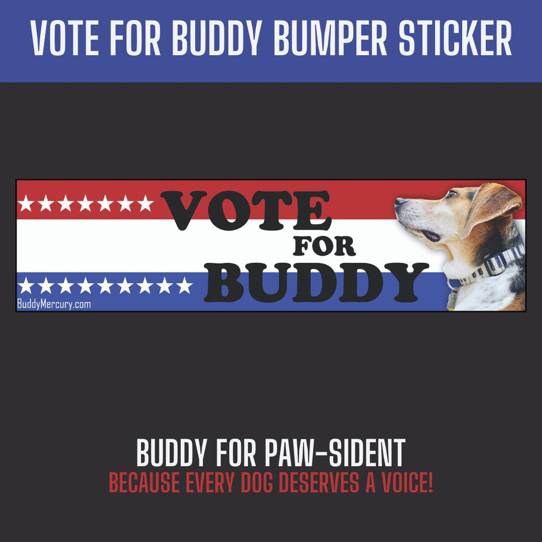 Vote for Buddy bumper sticker