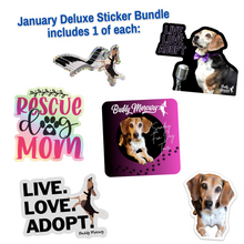 Load image into Gallery viewer, NEW Buddy Mercury Deluxe January Sticker Bundle