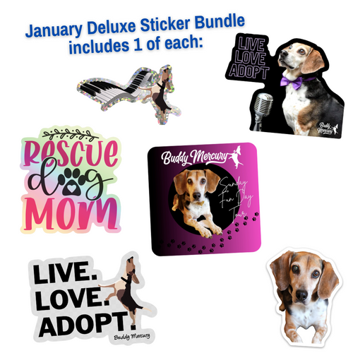 NEW Buddy Mercury Deluxe January Sticker Bundle