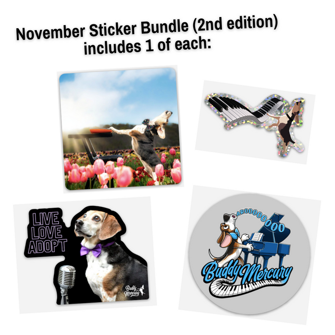 NEW Buddy Mercury November Sticker Bundle 2