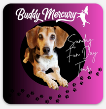 Load image into Gallery viewer, NEW Buddy Mercury Deluxe January Sticker Bundle