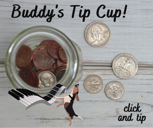 buddy mercury piano dog tip jar beagle singing