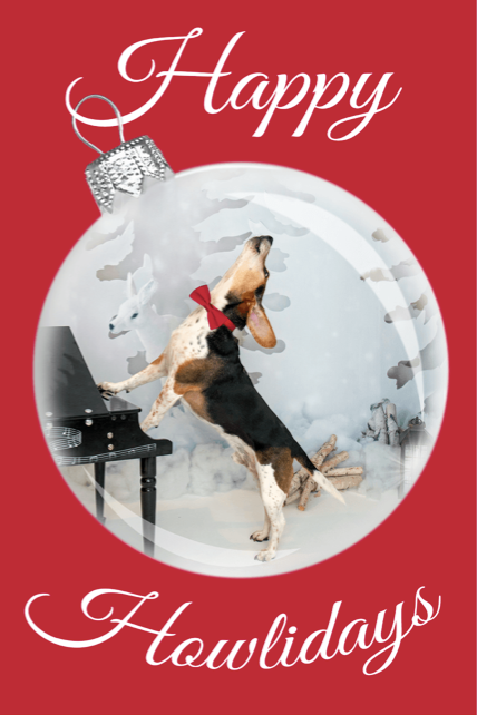 Buddy Mercury Holiday Cards